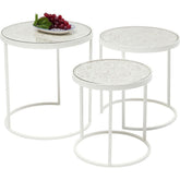 Vivid French Contemporary Mango Wood Coffee table with Metal frame set of 3
